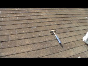 Jacksonville Roof Replacement