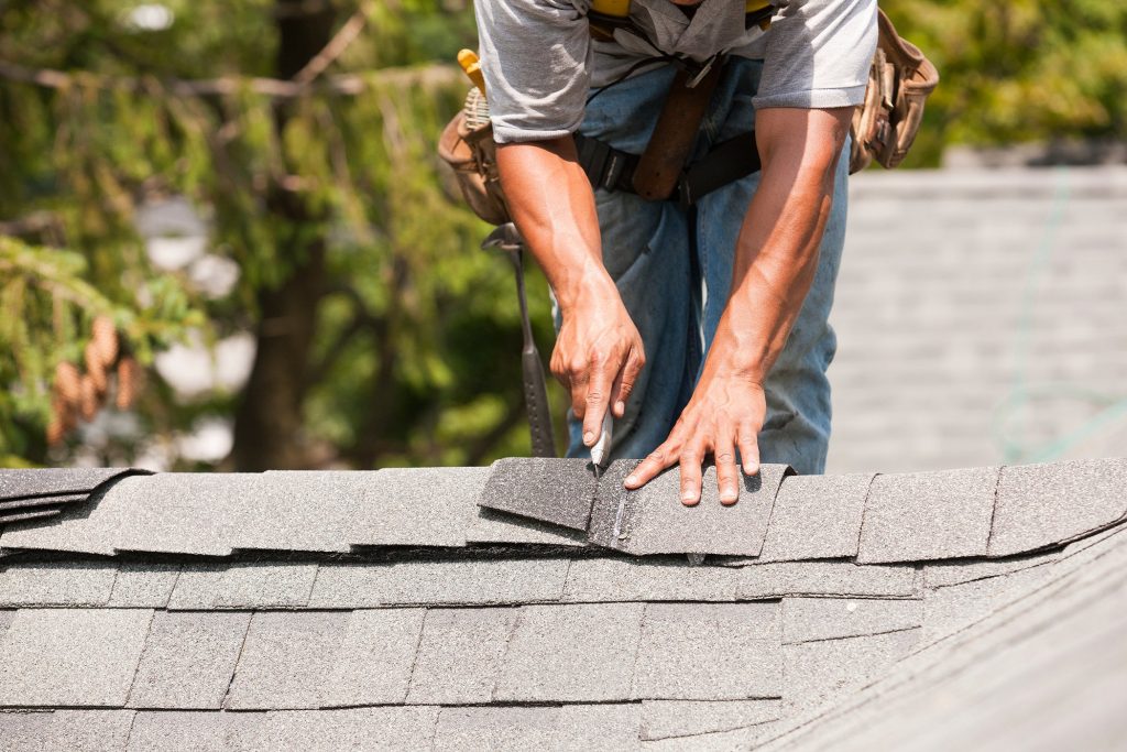 repair damaged roofing plywood